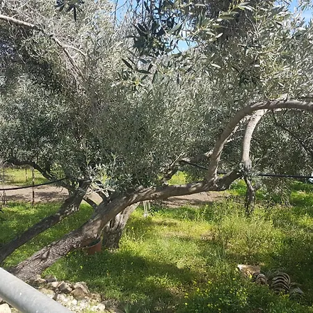 Holiday home Dei Narcisi
