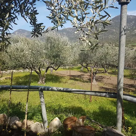Holiday home Dei Narcisi *