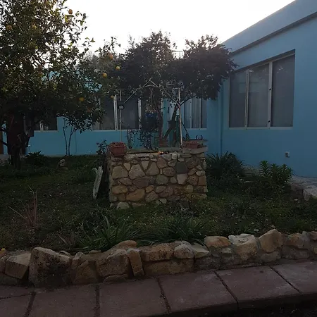 Dei Narcisi *