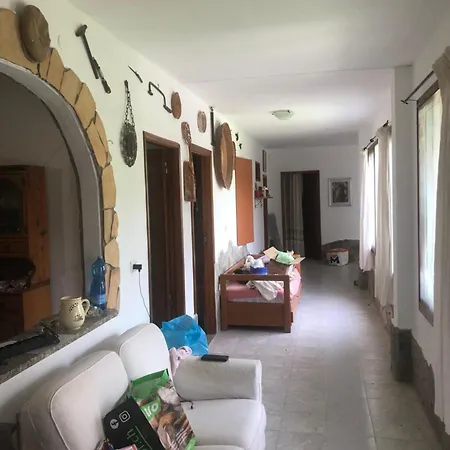 Dei Narcisi Solanas (Cagliari)
